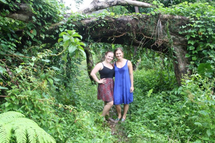 3EBF88BB257A47218681203C2AC16C2C