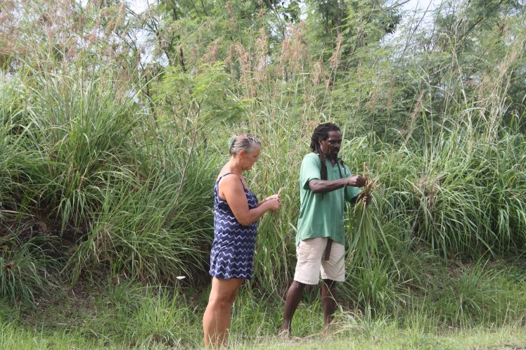 Karibien #1 505[2305843009213741511]