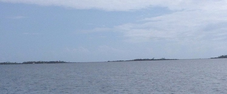 50536572-7398-4EA2-876A-A87E805C48C4