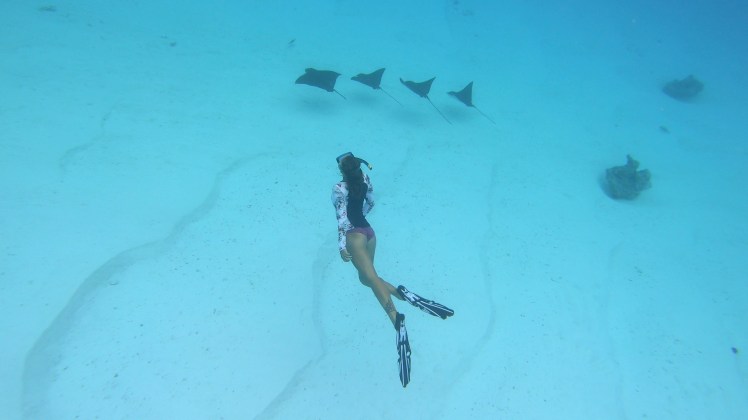 vlcsnap-2019-09-03-09h22m51s429