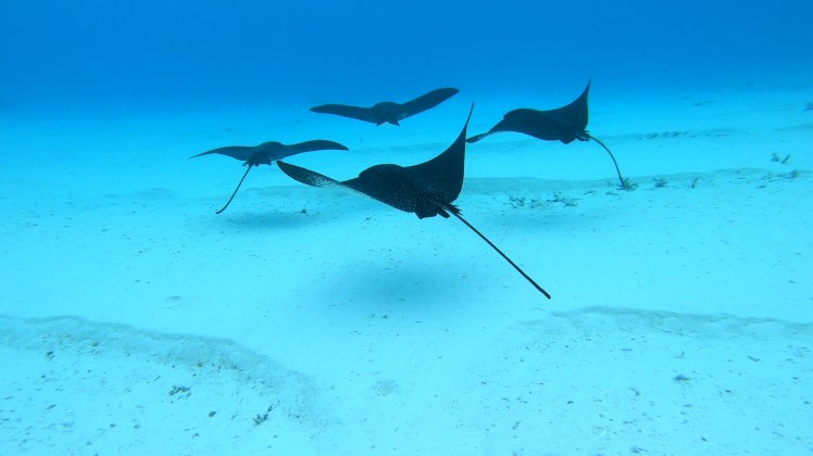 vlcsnap-2019-09-03-09h28m59s316