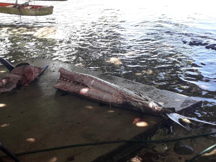 thumbnail_20191016_104719