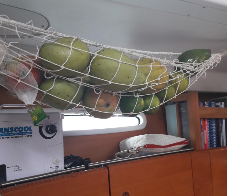 thumbnail_20191104_144019