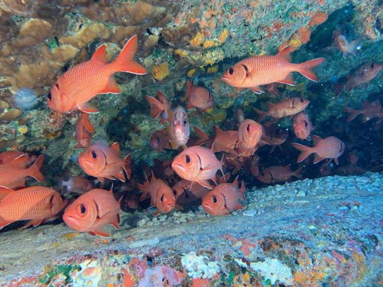 received_429433337934077