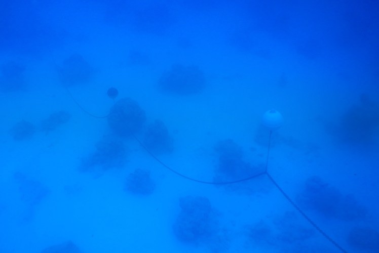 DSCN2785