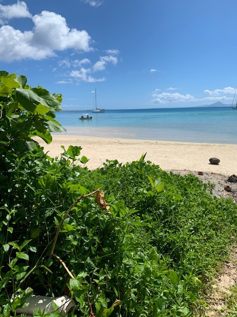 Grønt og frodig, privat strand flott