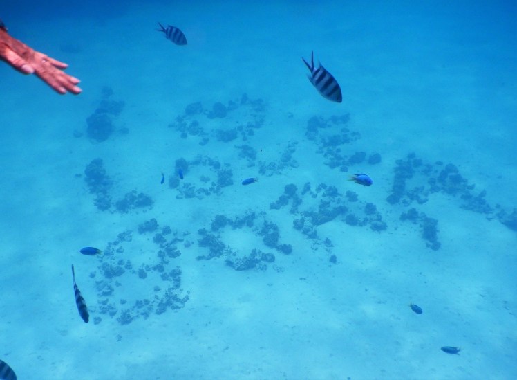 "I love Bora Bora" - fantastisk å snorkle rundt her