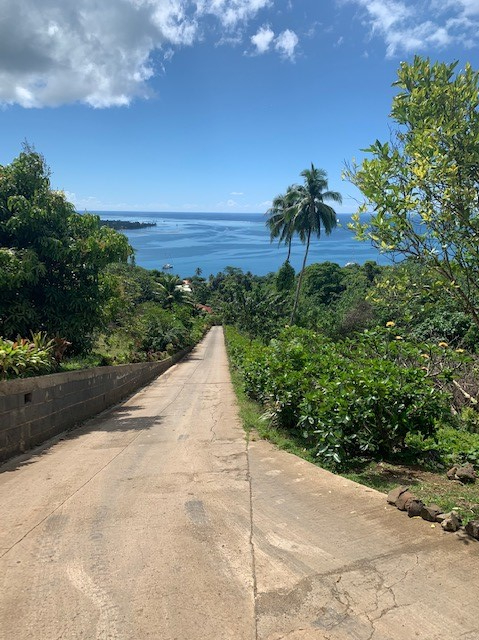 På vei opp til arboret på Moorea
