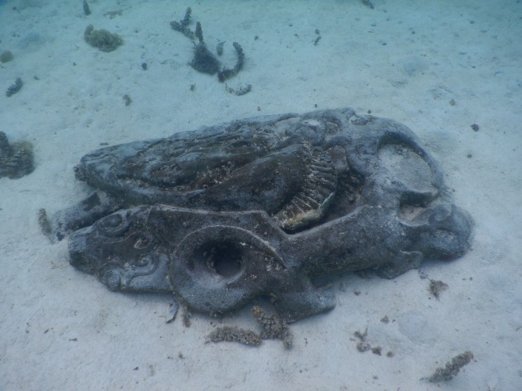 Vi snorklet på flere av disse flotte Tinkiene på Moorea