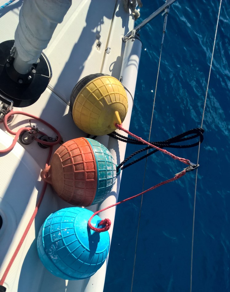 WP_20190806_07_57_39_Pro__highres