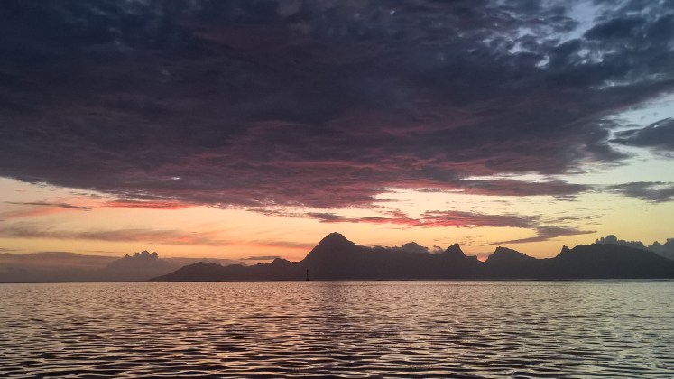 WP_20190909_18_00_41_Pro