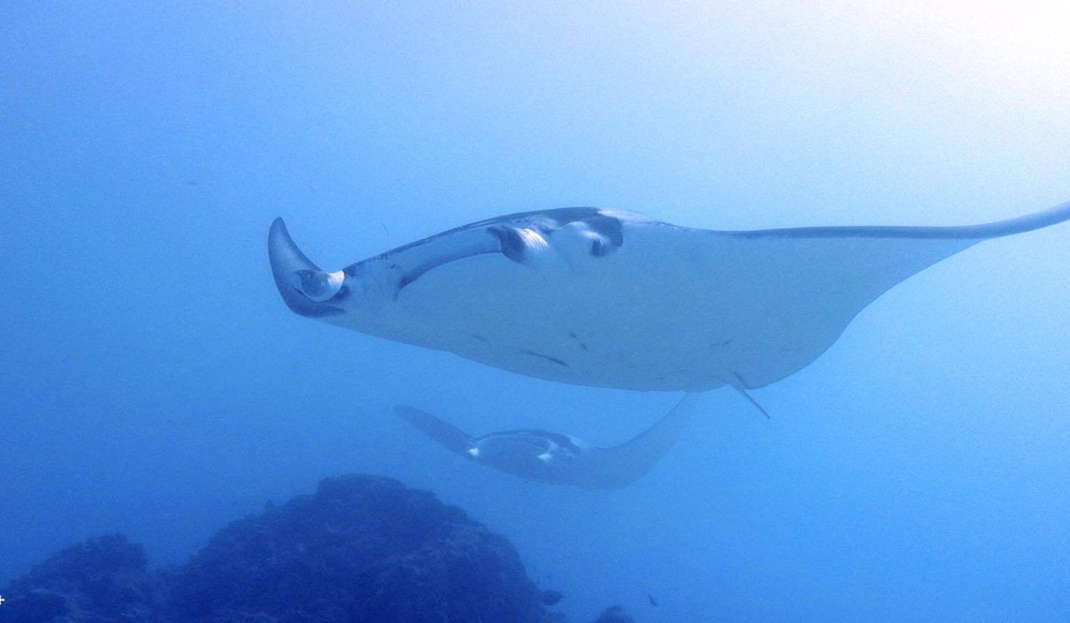 119434529_2766596076909349_620846170253198836_n